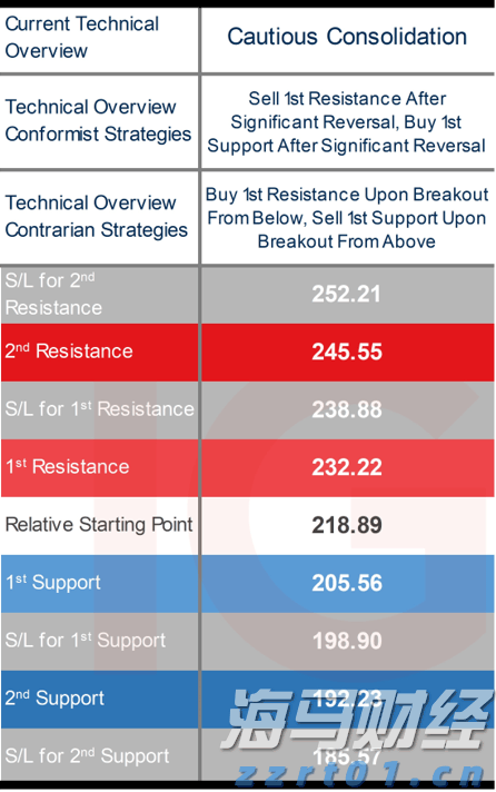 深耕创作沃土 讲好徐闻故事