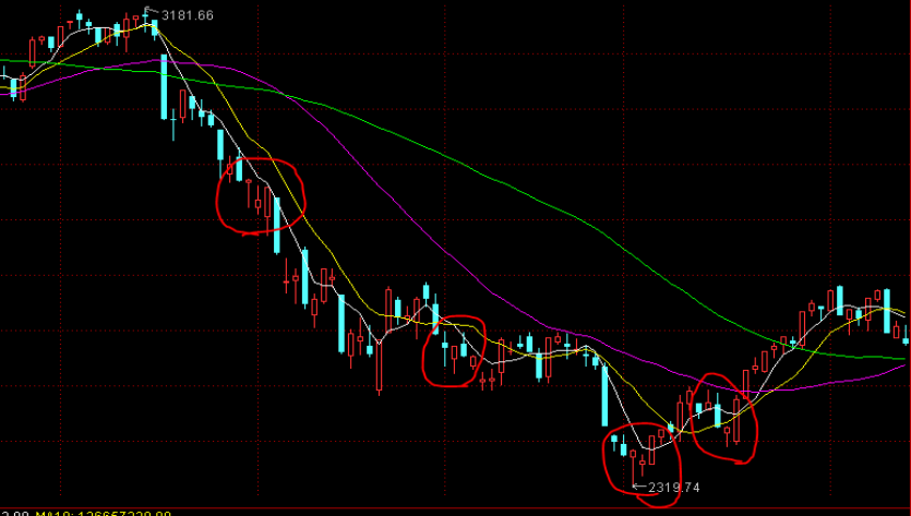 今日，梅州将开展全民国防教育宣传活动
